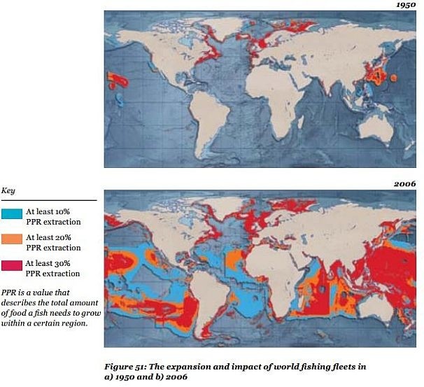 WWF over fishing chart