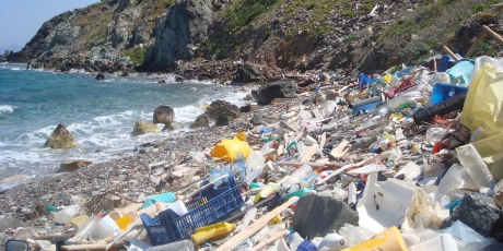 An ocean without plastic