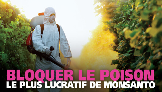 Interdiction du poison le plus rentable de Monsanto
